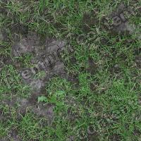 Seamless Grass 0021